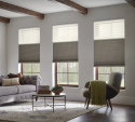 Graber Pleated Shades